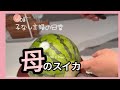 【日常なんでもbyらびvlog】スイカを食べて涙腺緩む