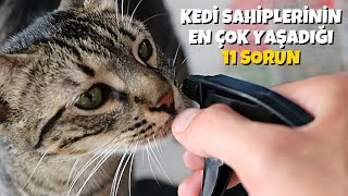 Kedi Sahiplerinin En Çok Yaşadığı 11 Problem! (Kum Dağılması, Tüy Sorunu, Tezgaha Çıkma vb.)