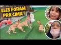 LEVEI MEUS FILHOS PARA O SHOPPING E OLHA NO QUE DEU!!! 😱