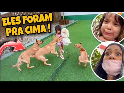 LEVEI MEUS FILHOS PARA O SHOPPING E OLHA NO QUE DEU!!!