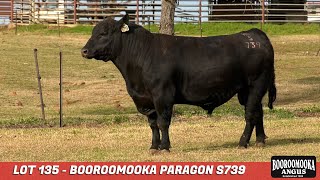 LOT 135 NGM21S739