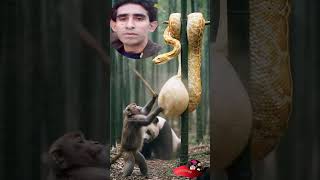 "Funny ভিডিও"- How to Earn Money & Making Funny Video From YouTube 2025 #viralvideo #funny