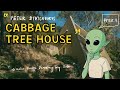 "Design Decoding: Episode 2 – Cabbage Tree House Explained by an Alien Architect"
