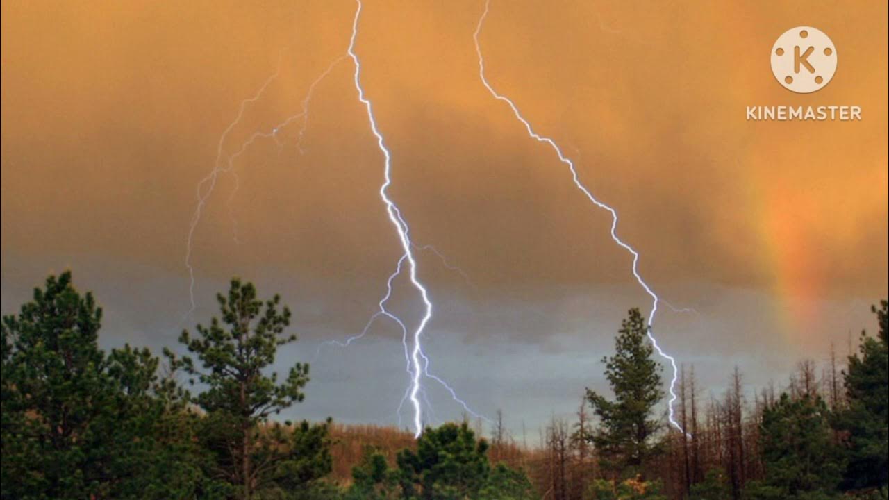 Лес в молниях и деревья бушуют ветер. Thunderstorm in Forest.