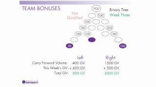 Compensation Plan : 4. Team Bonuses