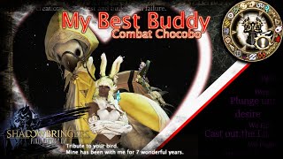 [FFXIV] How-to Chocobo Guide - My Best Buddy - Shadowbringers - 5.1