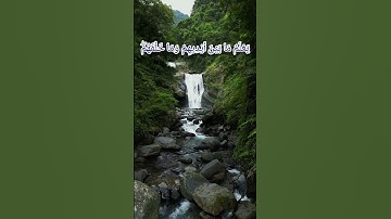 آية الكرسي الله لا إله إلا هو الحي القيوم تلاوة هادئة #المصحف #ورش  #الأصبهاني