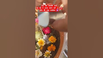 जब भी नवरात्रि आऐं तो पार्थिव शिवलिंग की पूजा जरूर करें 🕉#parthivshivling#shiv#upay#like#subscribe