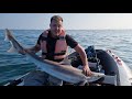 Sib fishing uk at its best inflatable boat fishing in the solent  sams biggest ever fish