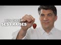 Bien choisir ses fraises by gal orieux