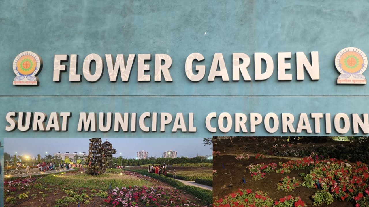 New dindoli flower 🌹garden 🏡1/1/2023 । flower garden me ticket price l