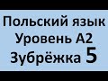 Зубрёжка! Польский язык Уровень А2 Урок 5 Польский разговорный Польские диалоги и тексты с переводом