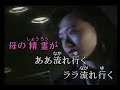 長崎物語  /  由利あけみ  /   cover   /  김정선