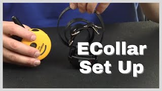 How to Set Up the Ecollar- Remote Collar Set Up