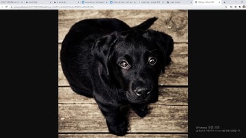 2020 12 23, JS 와 jQuery, 35강, 문제, 팝업구현, 17부, 좌우 버튼 꾸미기, 아이템에 배경 이미지 적용