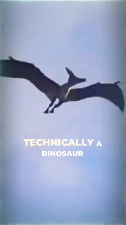 Meet The Giant Quetzalcoatlus The Largest Flying Creature Ever meet-the-giant-quetzalcoatlus-the-largest-flying-creature-ever