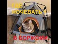 НОЧУЕМ В БОРЖОМИ.