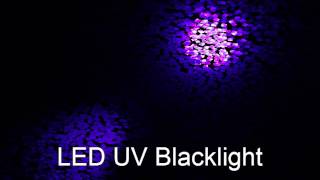 LED Black Light - well focused blacklight.  It can strobe, vary intensity and can even sound actuate screenshot 3