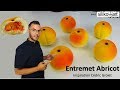 recette ENTREMET ABRICOT, inspiration Cédric Grolet / Apricot entremet (EN subs)