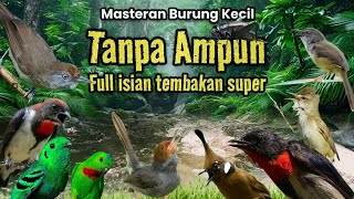 MASTERAN BURCIL TANPA AMPUN‼️FULL ISIAN TEMBAKAN SUPER. 