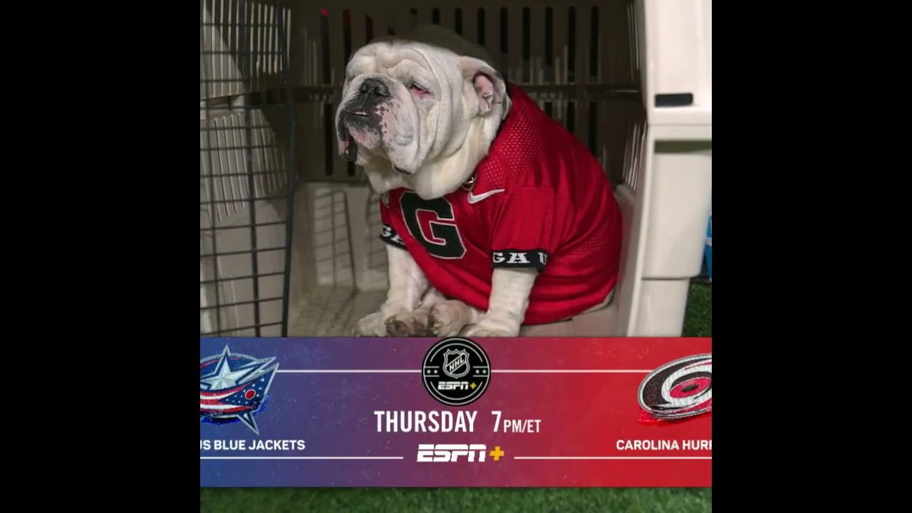 When a Georgia football game was interrupted by my dog on the field - ESPN