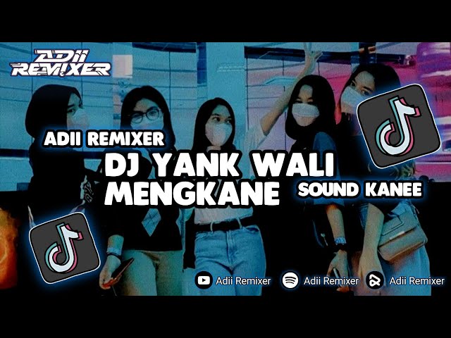 DJ YANK WALI MENGKANE!! SOUND JJ TERBARU 2023!!! class=