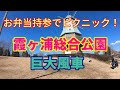 【霞ヶ浦総合公園・巨大風車のある運動公園！】家族でピクニック子供から大人まで大満足１２０％