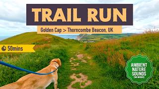 50 Min Virtual Treadmill Run – Thorncombe Beacon, Dorset (Ambient Nature Sounds)