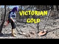 Camping Out & Detecting Victorian Gold