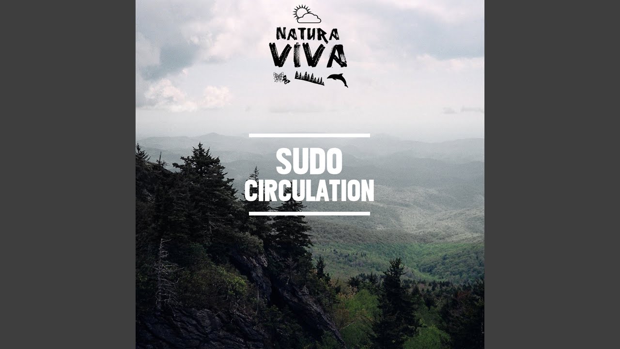 Watch Salinas on YouTube Watch Salinas on YouTube