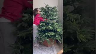 Famous Christmas Tree Storage Hack Wealth