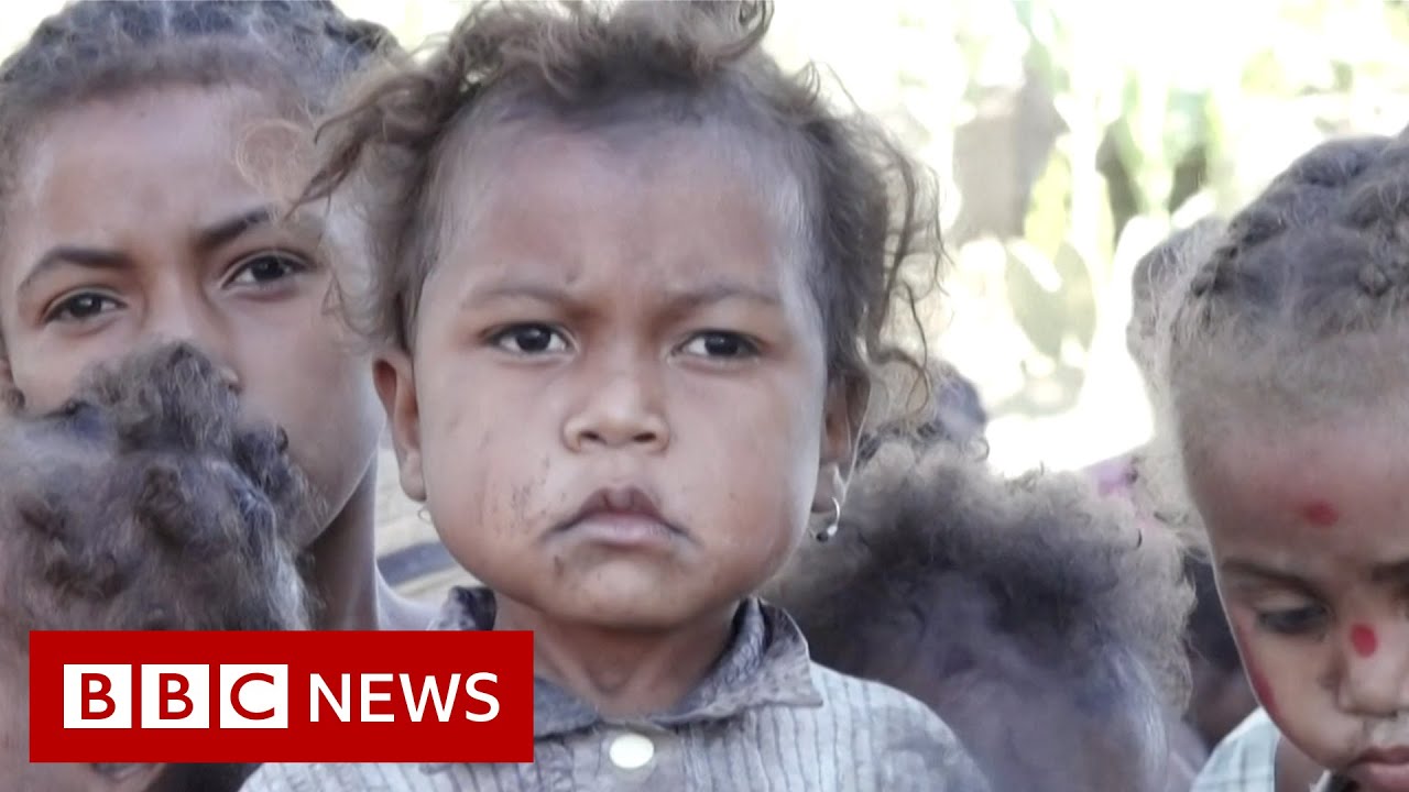 Madagascar is on the brink of famine caused by climate change ...