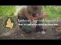 Bushcraft Survival Australia - How To Light A Fire Using the Hand Drill