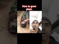 how to grow plant. #facts#garden#gardening#agriculture#farming#plant#friut#vegetables #viral#ytshort