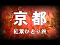 【紅葉の京都】ひとり旅で紅葉スポット「南禅寺&永観堂」を巡るVLOG