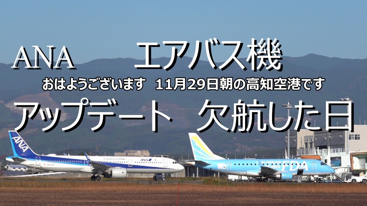 ANA エアバス機　アップデートの日　2025 11