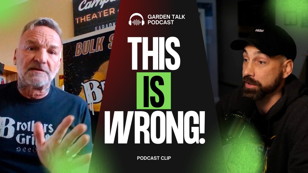 НЕ следует переворачивать растения таким образом для получения феминизированных семян!