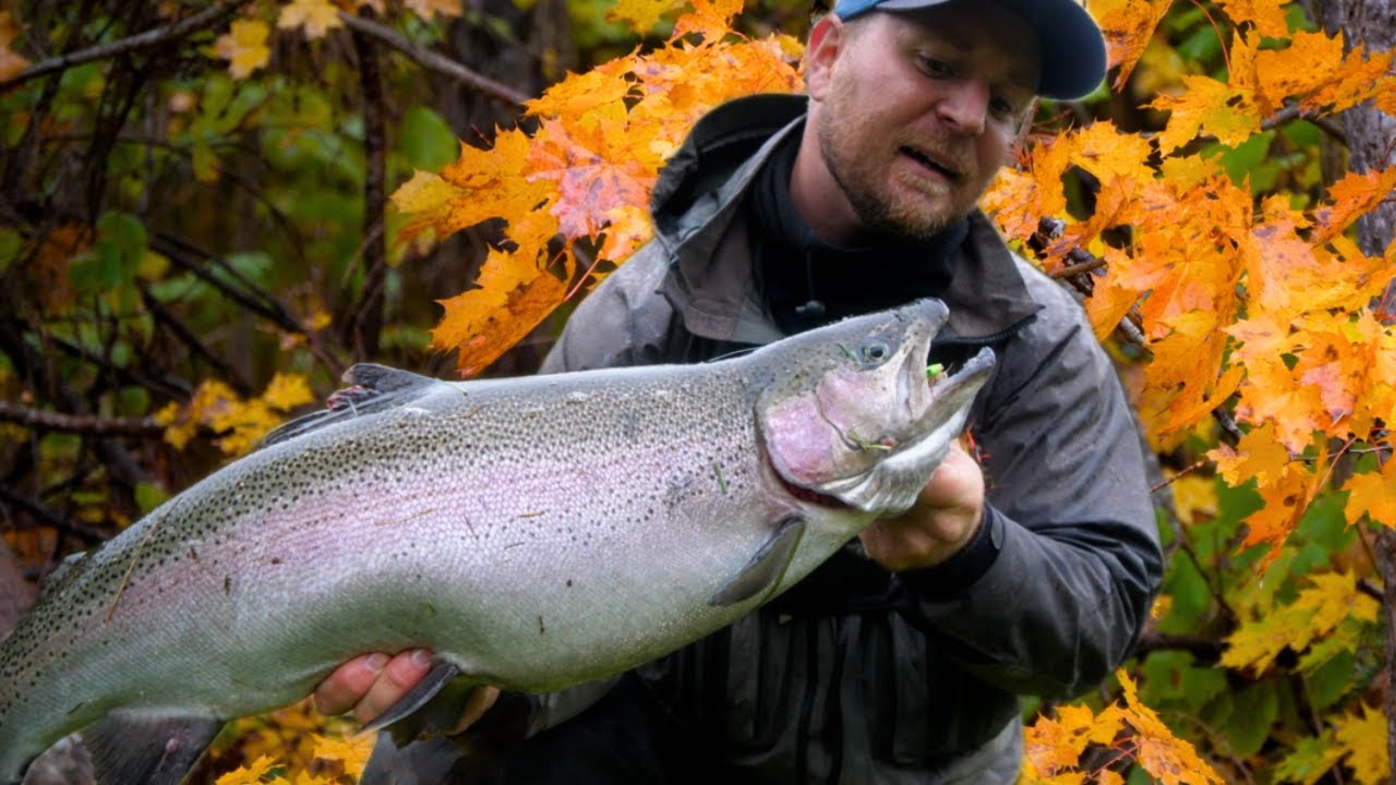 Tilbage Til Trollemölla: Spotfiskeri På Fluestang