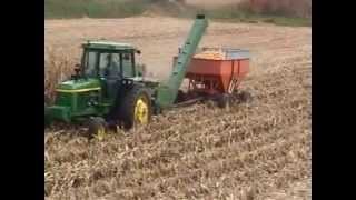 Picking Corn 2010