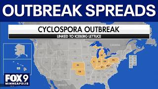Illness outbreak linked to lettuce and other greens continues spreading