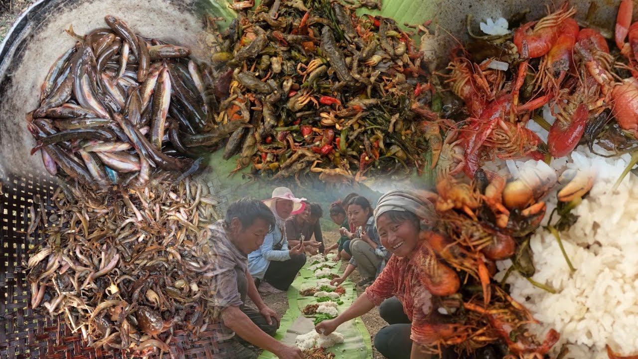 🔗 weekly vlog|traditional way of fishing at khokishi|Nivishe village| day well spent 