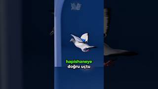 Hapishaneye Yasaklı Madde Taşıyan Güvercin 🕊️🎒🤯