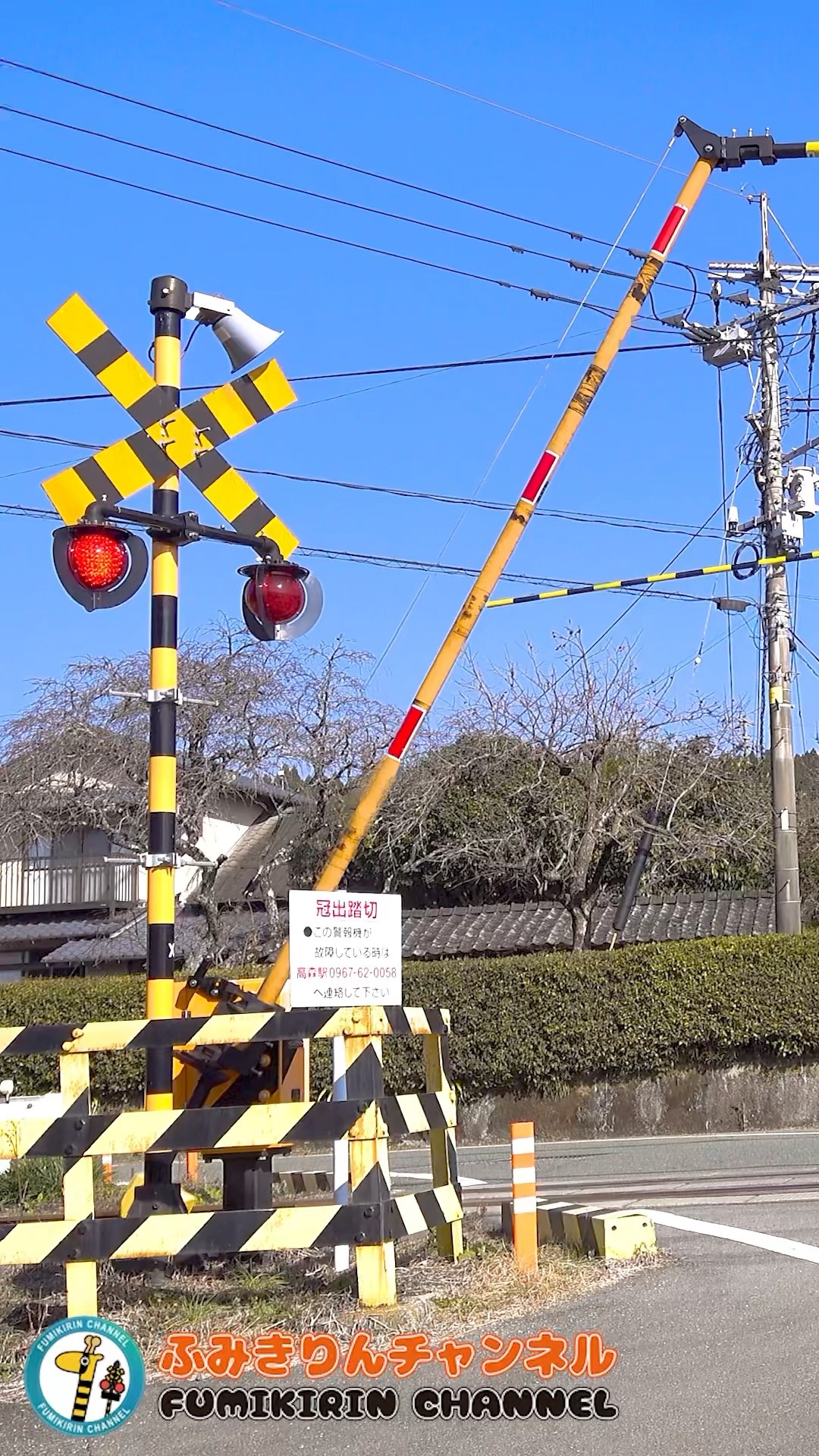 踏切 電車】なにが通るかな？？？【ふみきりショート動画177】 #shorts