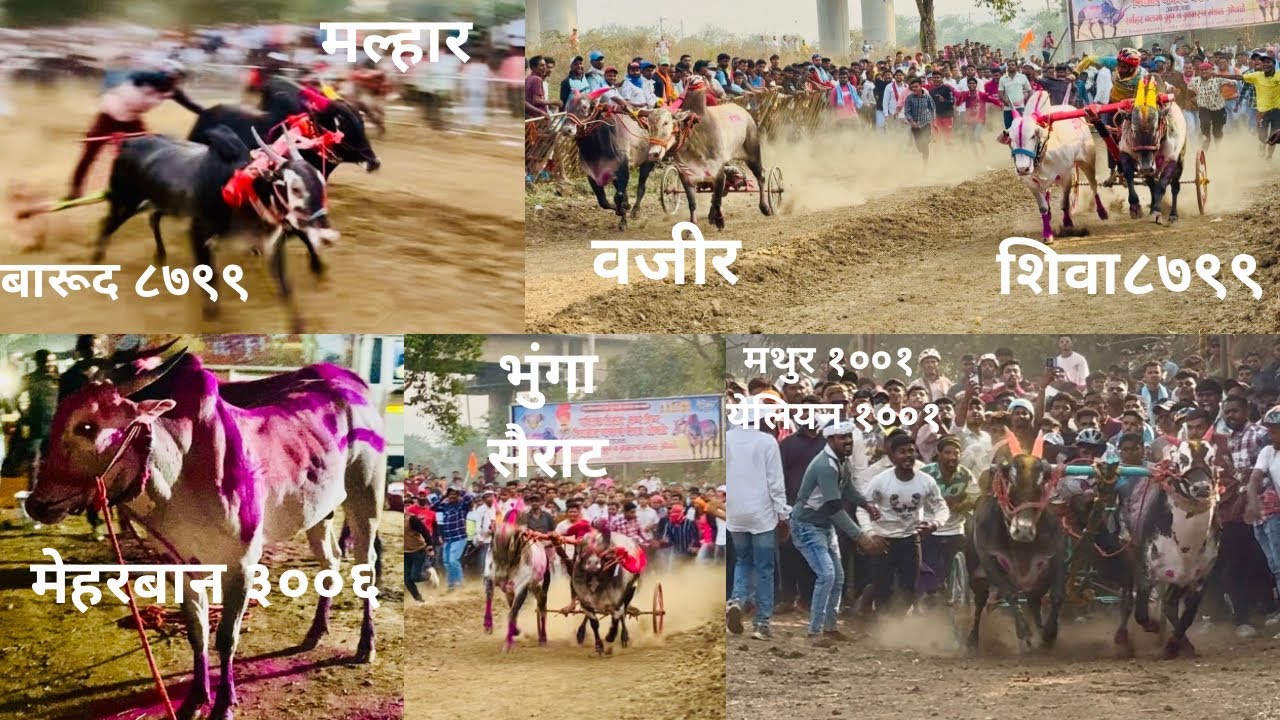 PUBLIC डिमांड ओवले मैदान छकड्याच्या जंगी शर्यती 