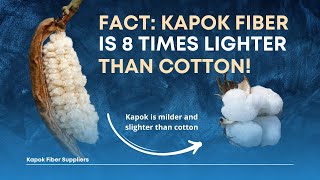 Why Kapok Fiber Is the Best Alternative for Eco Friendly Industries??