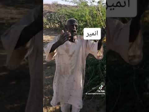 انمير انمير السودان انمير أنا ماشي الي مدينة مدح 
