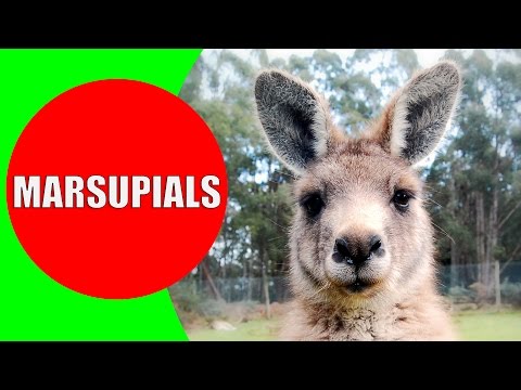 Lesson thumbnail