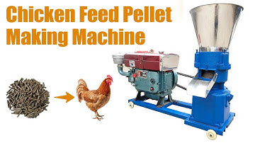 Chicken Feed Pellet Making Machine | Poultry Feed Pellet Extruder for Chicken, Dusk, Cattle