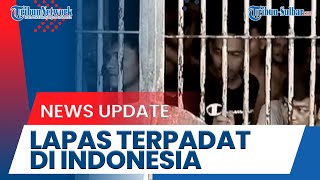 Bagansiapiapi Prison Becomes Indonesia's Most Overcrowded: 100-Inmate Capacity Houses 900