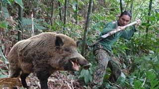 skills, set traps, catch wild boars, harvest agricultural products to bring to the market #FULVIDEO